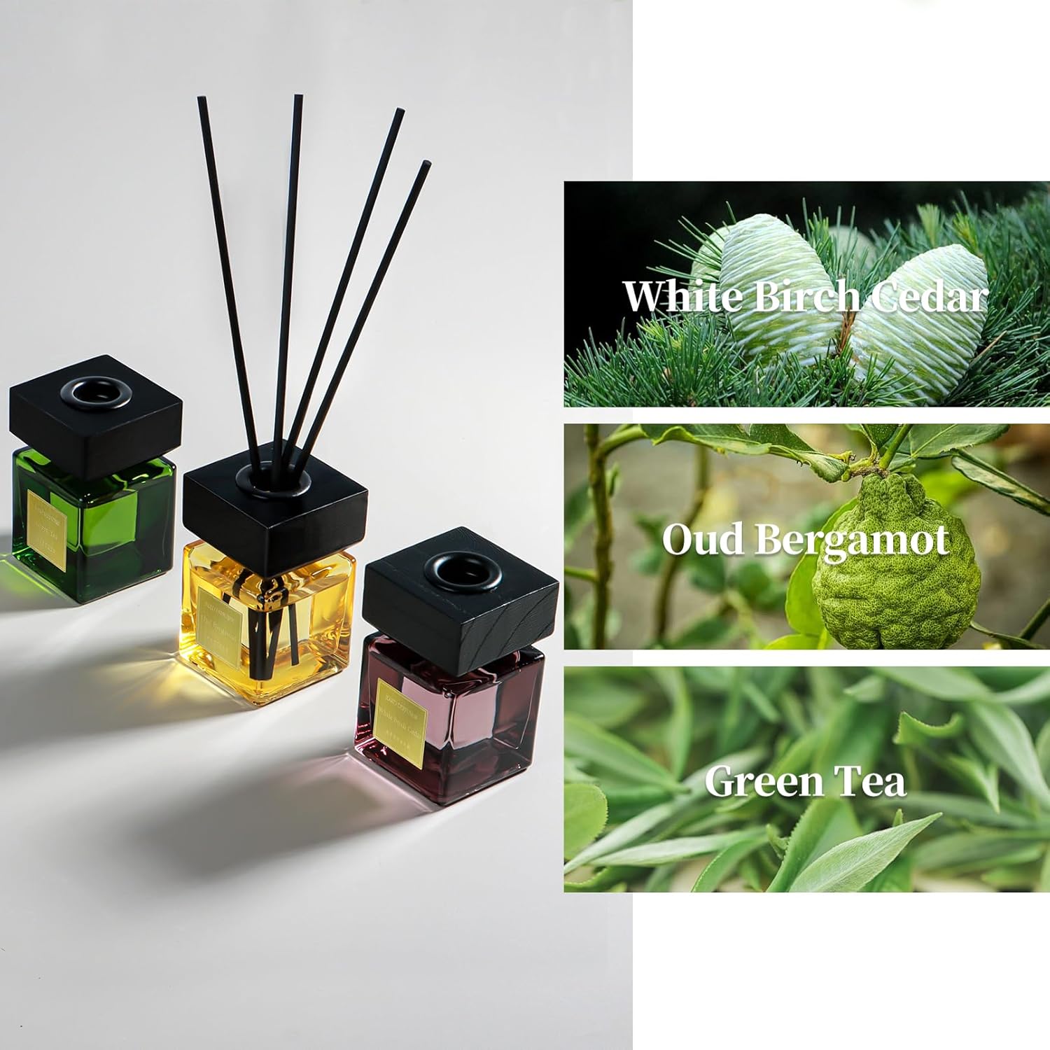 Reed Diffuser Set of 3, White Birch Cedar & Oud Bergamot & Green Tea Essential Oil with 15 Diffuser Sticks, Hotel Collection Bathroom Air Fresheners, 50ml Home Fragrance for Room Decor